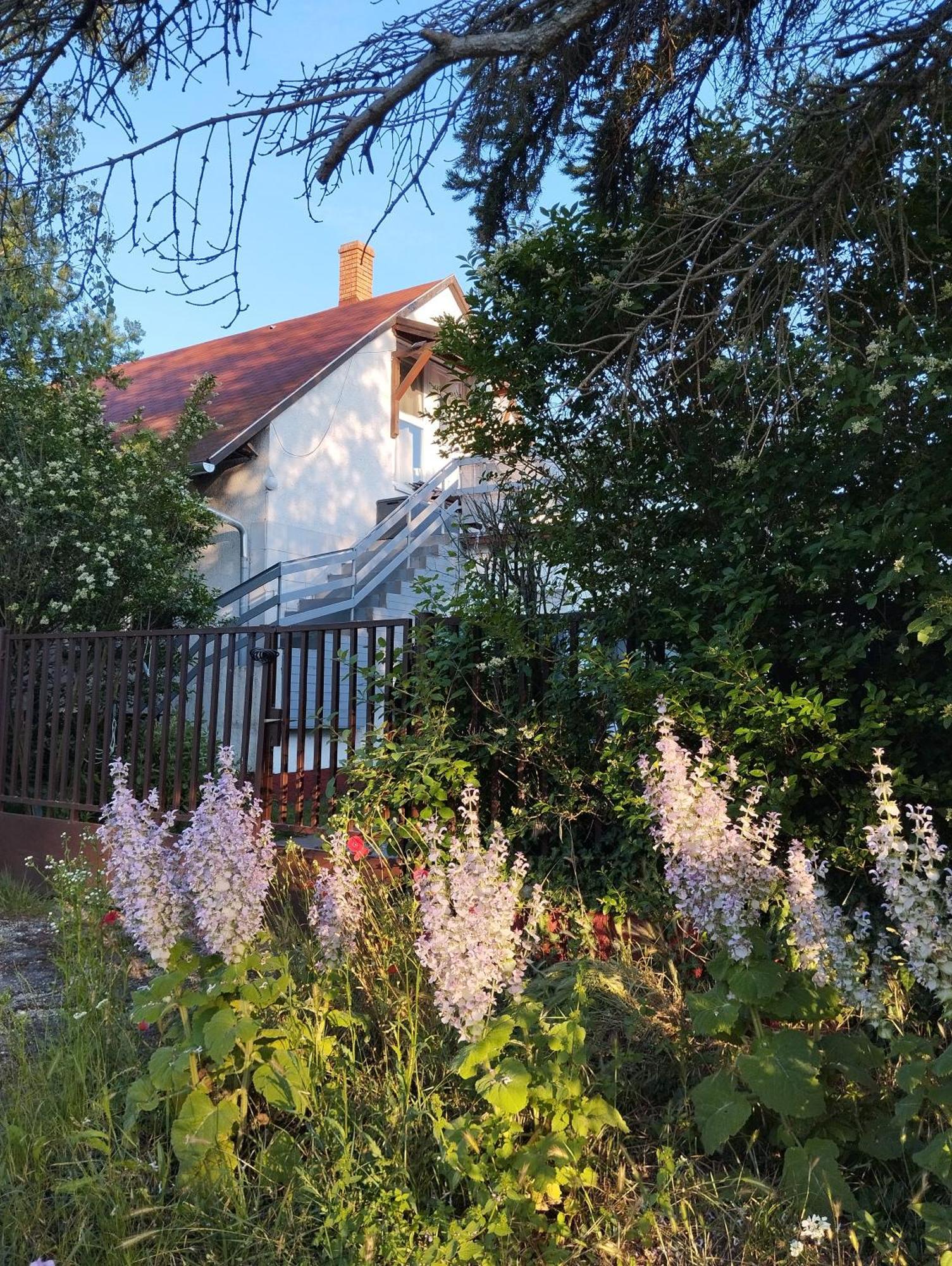 Thefi Vendégház Zánka Exterior foto